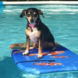 Meet your Posher, Nick